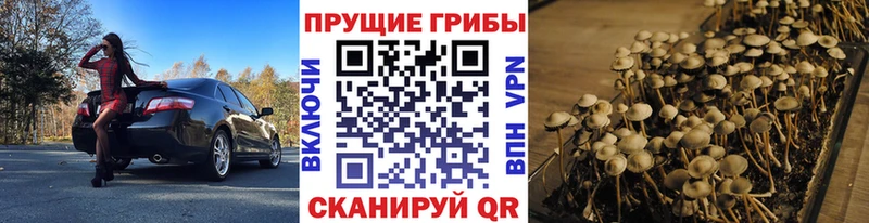 Галлюциногенные грибы Magic Shrooms  купить  цена  kraken вход  Меленки 